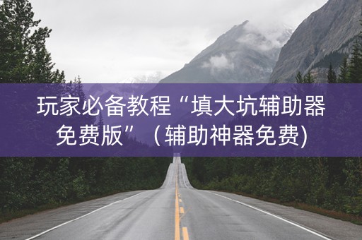 玩家必备教程“填大坑辅助器免费版”（辅助神器免费)