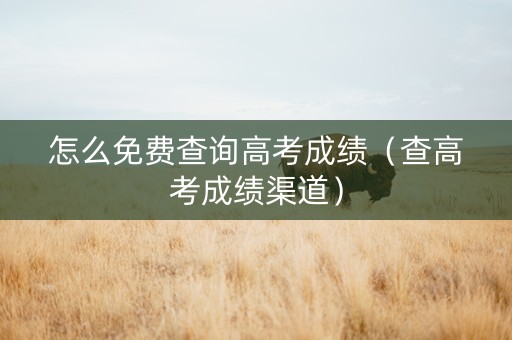 怎么免费查询高考成绩（查高考成绩渠道）