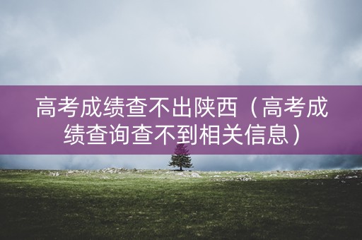 高考成绩查不出陕西（高考成绩查询查不到相关信息）