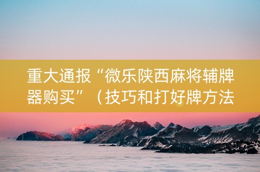 重大通报“微乐陕西麻将辅牌器购买”（技巧和打好牌方法)