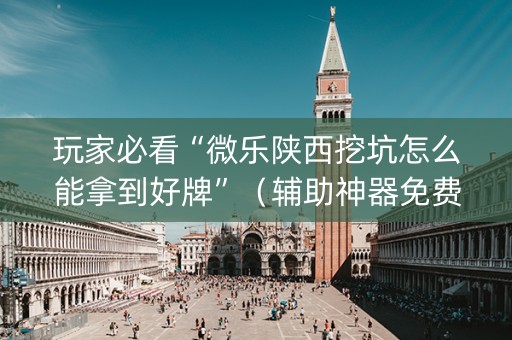 玩家必看“微乐陕西挖坑怎么能拿到好牌”（辅助神器免费)