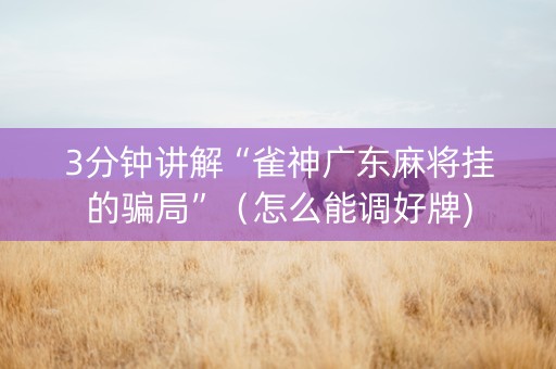 3分钟讲解“雀神广东麻将挂的骗局”（怎么能调好牌)