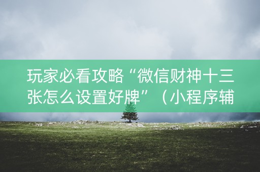 玩家必看攻略“微信财神十三张怎么设置好牌”（小程序辅助软件)