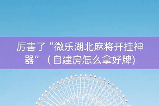 厉害了“微乐湖北麻将开挂神器”（自建房怎么拿好牌)