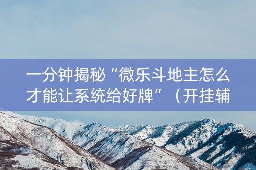 一分钟揭秘“微乐斗地主怎么才能让系统给好牌”（开挂辅助脚本)