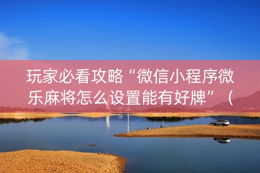 玩家必看攻略“微信小程序微乐麻将怎么设置能有好牌”（为什么有人一直赢)
