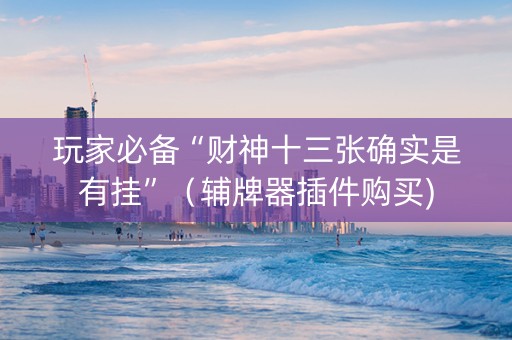 玩家必备“财神十三张确实是有挂”（辅牌器插件购买)