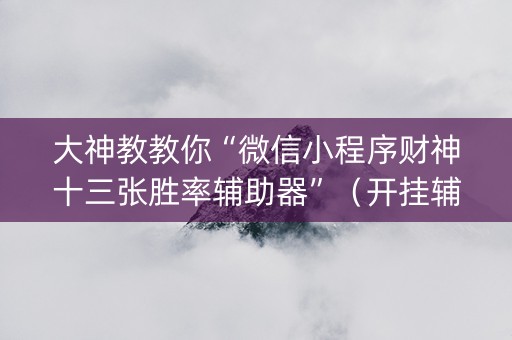 大神教教你“微信小程序财神十三张胜率辅助器”（开挂辅助器脚本)