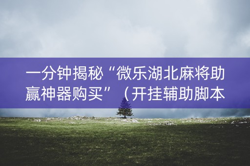 一分钟揭秘“微乐湖北麻将助赢神器购买”（开挂辅助脚本)