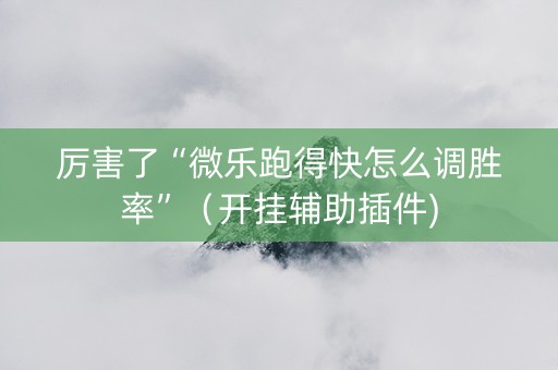 厉害了“微乐跑得快怎么调胜率”（开挂辅助插件)