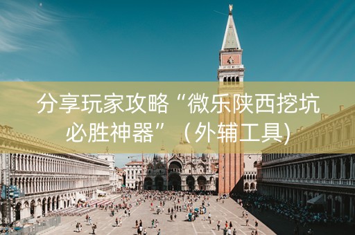 分享玩家攻略“微乐陕西挖坑必胜神器”（外辅工具)