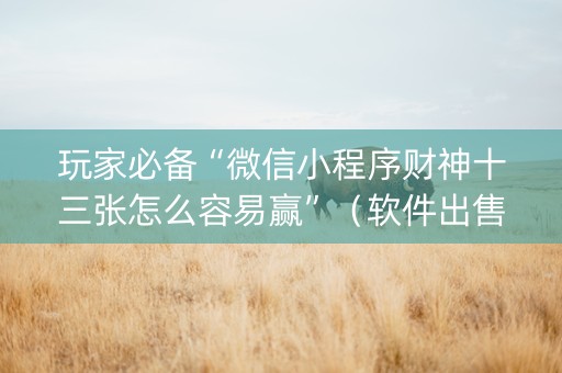 玩家必备“微信小程序财神十三张怎么容易赢”（软件出售)