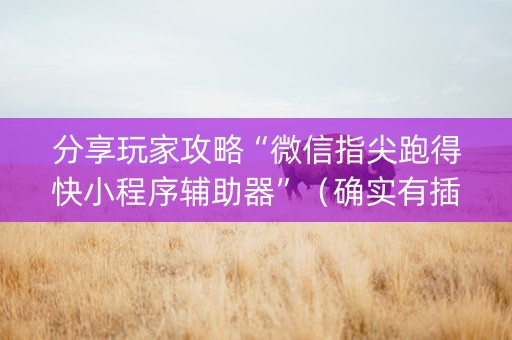 分享玩家攻略“微信指尖跑得快小程序辅助器”（确实有插件吗)