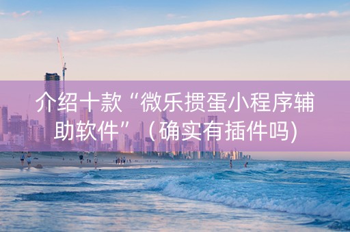 介绍十款“微乐掼蛋小程序辅助软件”（确实有插件吗)
