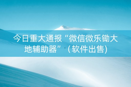 今日重大通报“微信微乐锄大地辅助器”（软件出售)