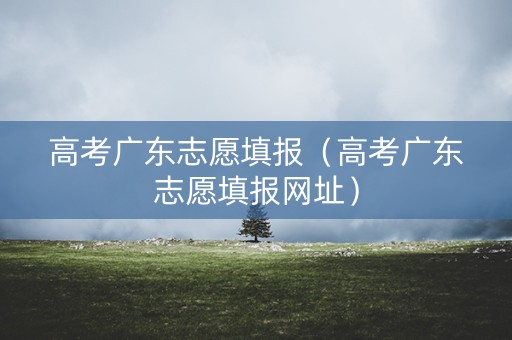 高考广东志愿填报（高考广东志愿填报网址）