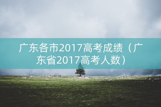 广东各市2017高考成绩（广东省2017高考人数）