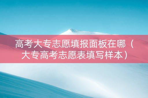 高考大专志愿填报面板在哪（大专高考志愿表填写样本）