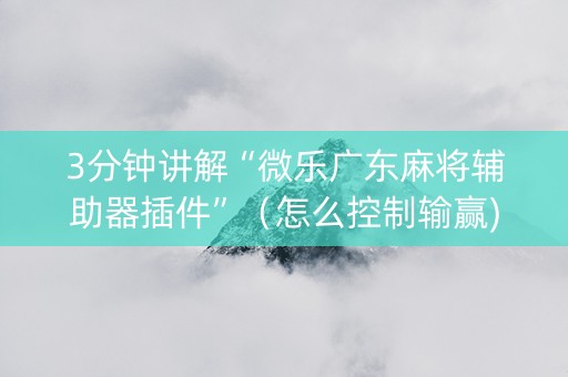 3分钟讲解“微乐广东麻将辅助器插件”（怎么控制输赢)