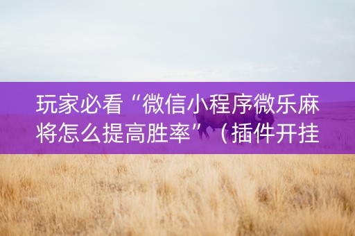 玩家必看“微信小程序微乐麻将怎么提高胜率”（插件开挂免费AI)