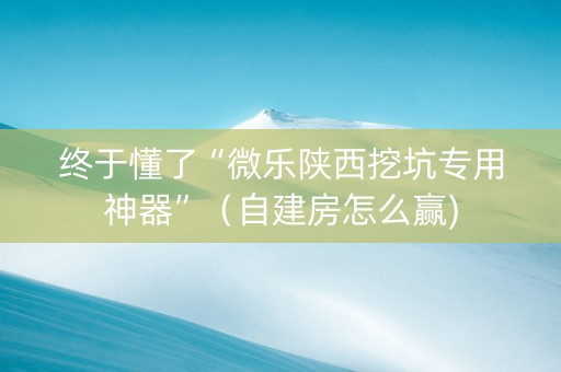终于懂了“微乐陕西挖坑专用神器”（自建房怎么赢)