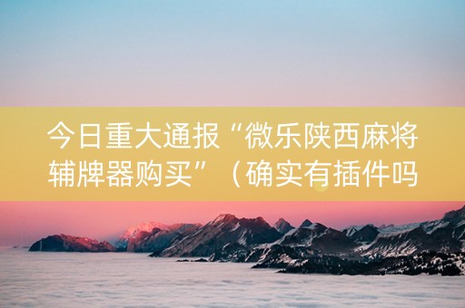 今日重大通报“微乐陕西麻将辅牌器购买”（确实有插件吗)