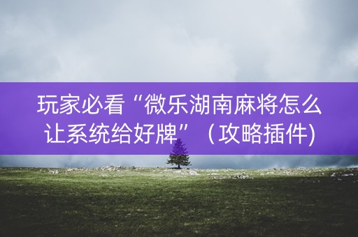 玩家必看“微乐湖南麻将怎么让系统给好牌”（攻略插件)