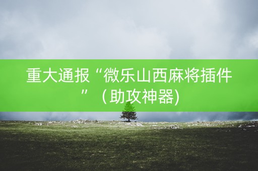 重大通报“微乐山西麻将插件”（助攻神器)