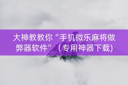 大神教教你“手机微乐麻将做弊器软件”（专用神器下载)
