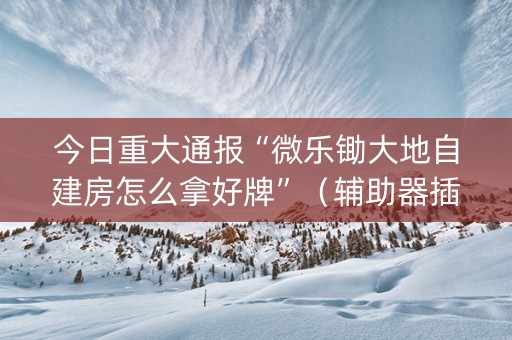 今日重大通报“微乐锄大地自建房怎么拿好牌”（辅助器插件)