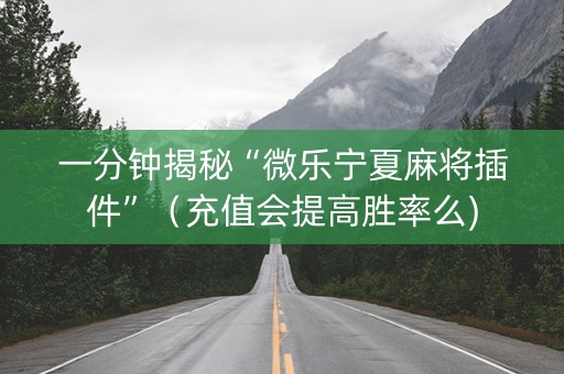 一分钟揭秘“微乐宁夏麻将插件”（充值会提高胜率么)