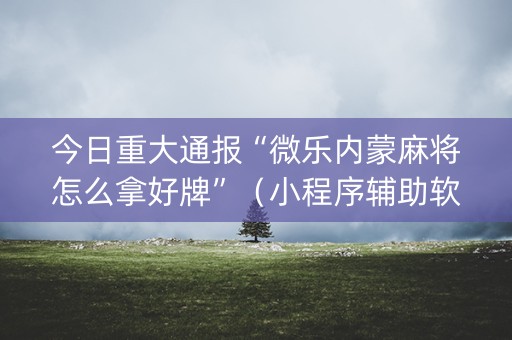 今日重大通报“微乐内蒙麻将怎么拿好牌”（小程序辅助软件)