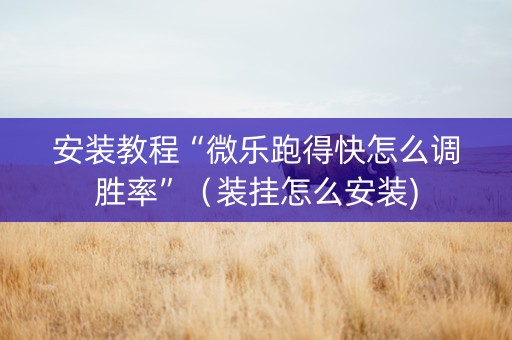 安装教程“微乐跑得快怎么调胜率”（装挂怎么安装)