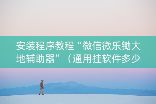 安装程序教程“微信微乐锄大地辅助器”（通用挂软件多少钱)