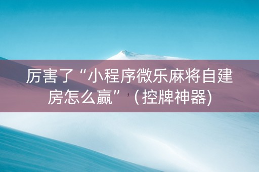 厉害了“小程序微乐麻将自建房怎么赢”（控牌神器)