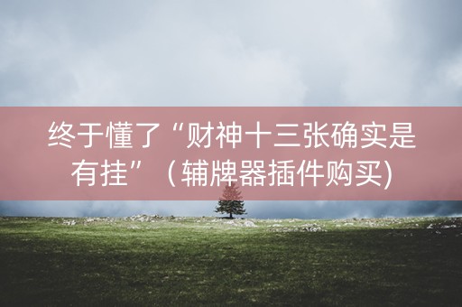 终于懂了“财神十三张确实是有挂”（辅牌器插件购买)