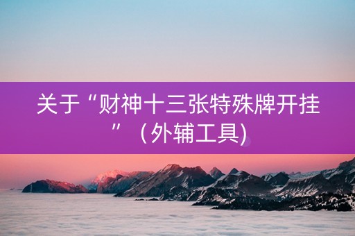 关于“财神十三张特殊牌开挂”（外辅工具)
