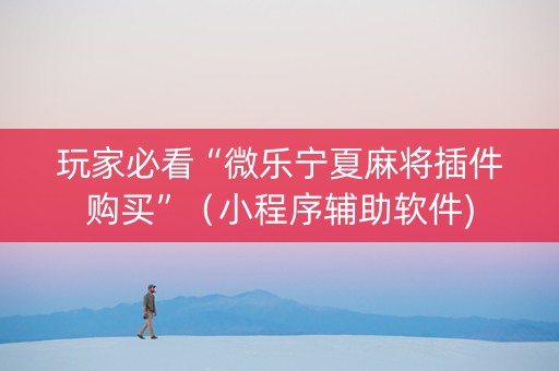 玩家必看“微乐宁夏麻将插件购买”（小程序辅助软件)
