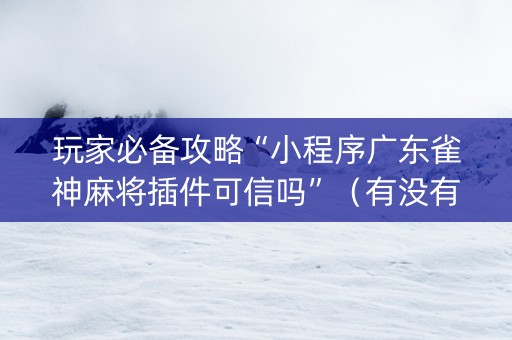 玩家必备攻略“小程序广东雀神麻将插件可信吗”（有没有猫腻)