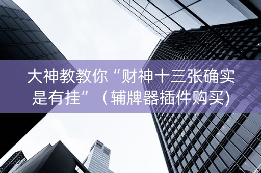 大神教教你“财神十三张确实是有挂”（辅牌器插件购买)