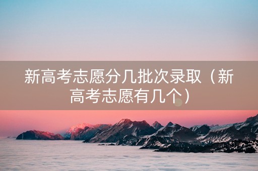 新高考志愿分几批次录取（新高考志愿有几个）