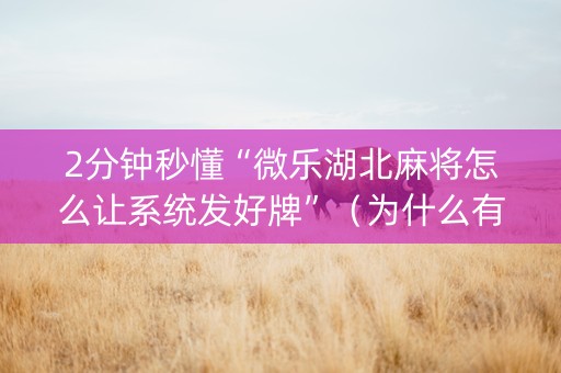 2分钟秒懂“微乐湖北麻将怎么让系统发好牌”（为什么有人一直赢)