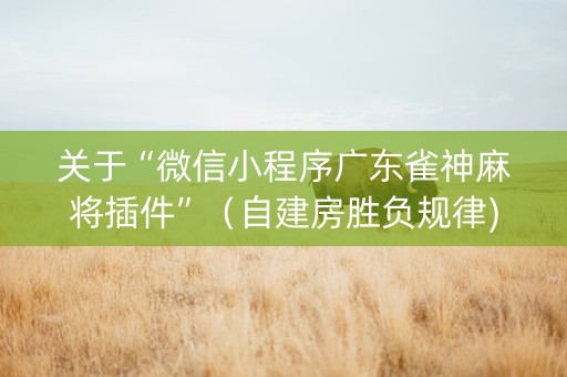 关于“微信小程序广东雀神麻将插件”（自建房胜负规律)