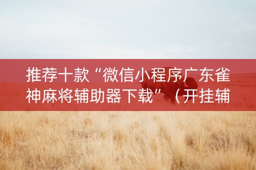 推荐十款“微信小程序广东雀神麻将辅助器下载”（开挂辅助器插件)
