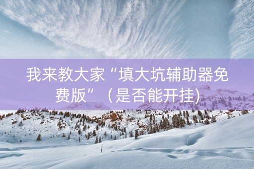 我来教大家“填大坑辅助器免费版”（是否能开挂)