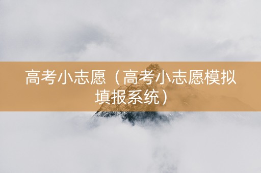 高考小志愿（高考小志愿模拟填报系统）