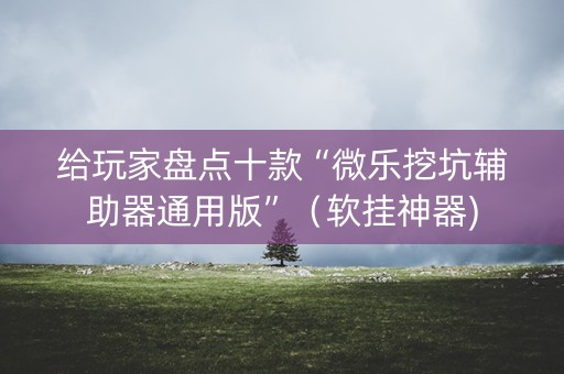 给玩家盘点十款“微乐挖坑辅助器通用版”（软挂神器)