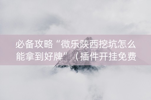 必备攻略“微乐陕西挖坑怎么能拿到好牌”（插件开挂免费AI)