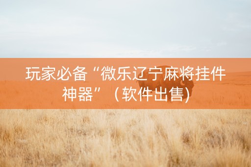 玩家必备“微乐辽宁麻将挂件神器”（软件出售)