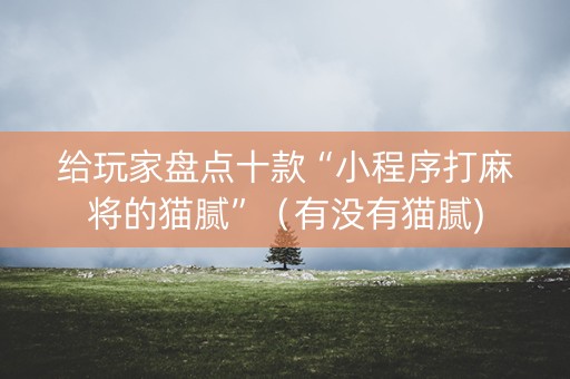 给玩家盘点十款“小程序打麻将的猫腻”（有没有猫腻)